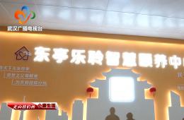中宣部采访团到访武汉东亭社区pp电子游戏模拟器智慧颐养中心